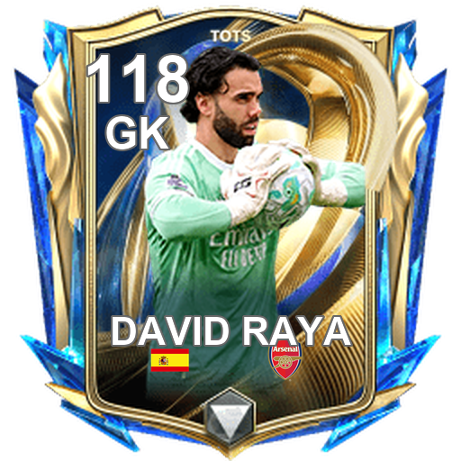 David Raya 118 GK