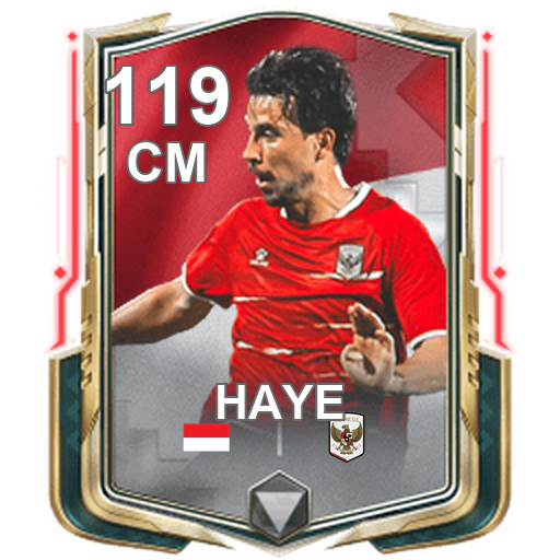 Thom Haye 119 CM