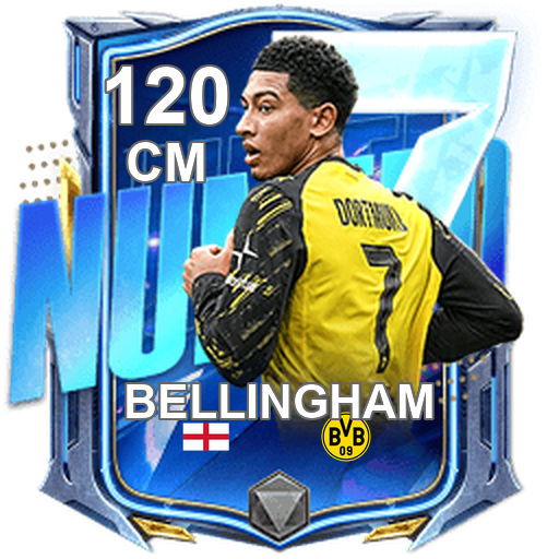 Jobe Bellingham 120 CM