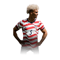 ภาพการ์ดนักเตะ Antonee Robinson