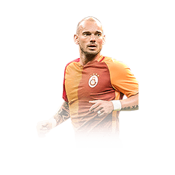 ภาพการ์ดนักเตะ Wesley Sneijder